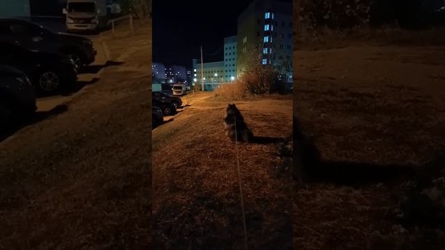 Ждун.!