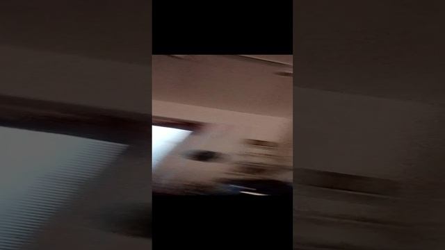 1 видео