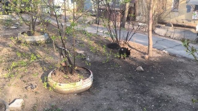 Первый раз гуляем
