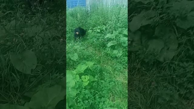 1000057988.mp4