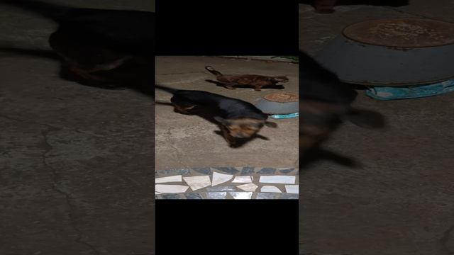 1000000519.mp4