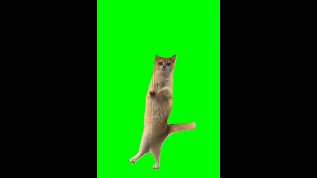 Футажи 🙀