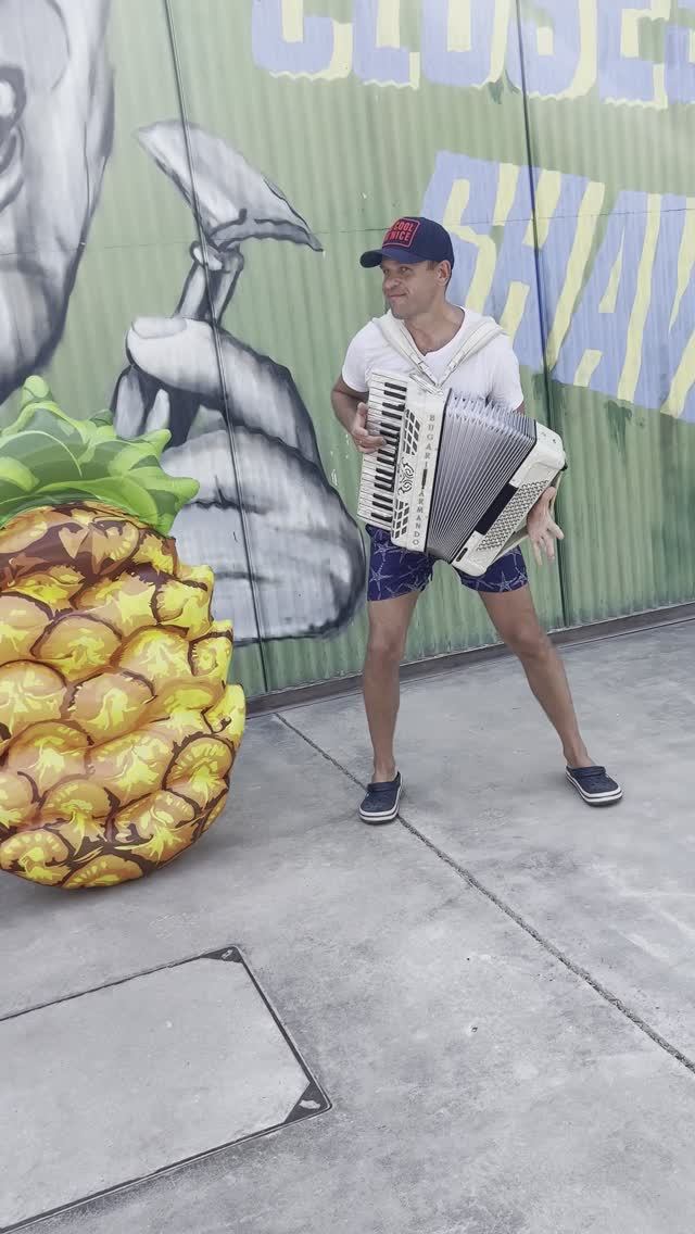 Rampampam Minelli cover Сергей Адайкин