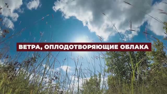 Знамения Корана - Ветра, оплодотворяющие облака