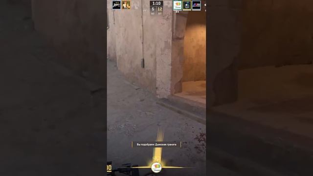 Zeus24122806