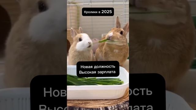 ВАЖНАЯ ИНФОРМАЦИЯ ПРО ДЛЯ ГОД ДЛЯ КАЖДОГО ИЗ НАС