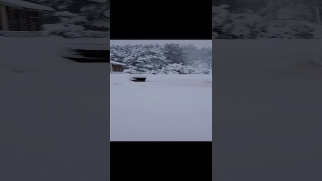 20241215_101519.mp4