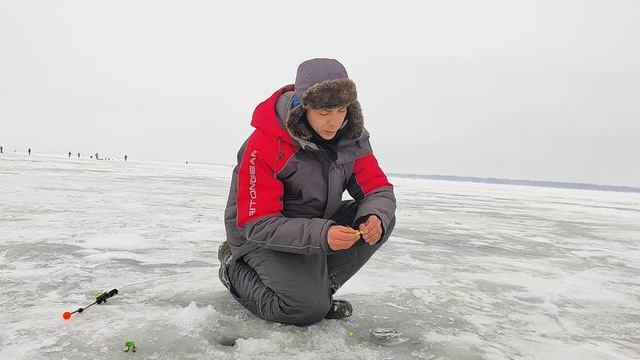 ЛОВЛЯ БЕРША зимой  НА ТЮЛЬКУ