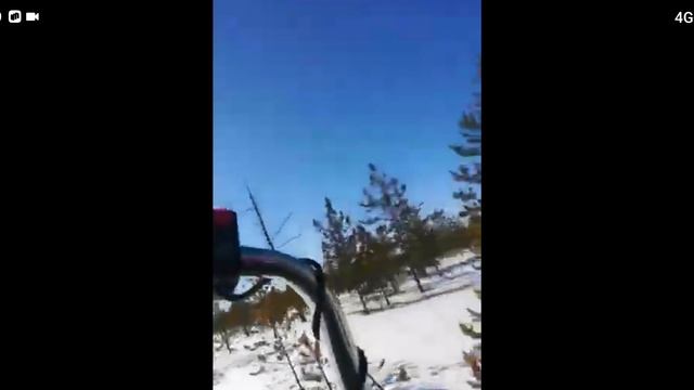 между ёлок на Ларвене.mp4
