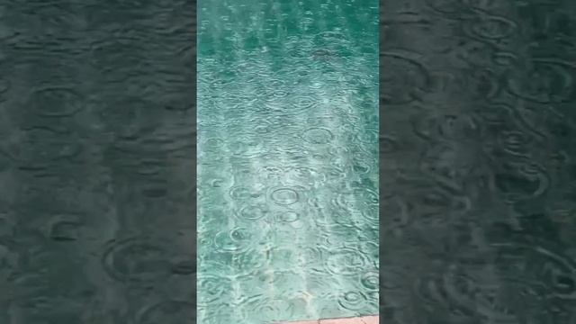 Создавай и передавай ❤🔥Подписывайтесь на мой ТГ канал @vyazminaAlena7