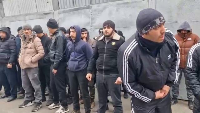 ⚠️В Краснодаре на овощной базе полицейские выявили нелегальных мигрантов. 🤬
