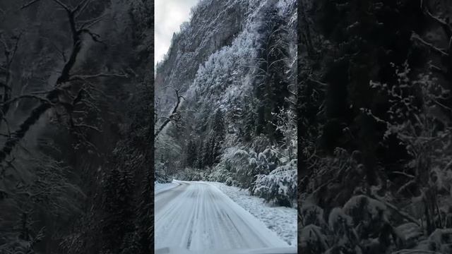 Сказочная дорога к озеру Рица зимой превращается в волшебное путешествие
