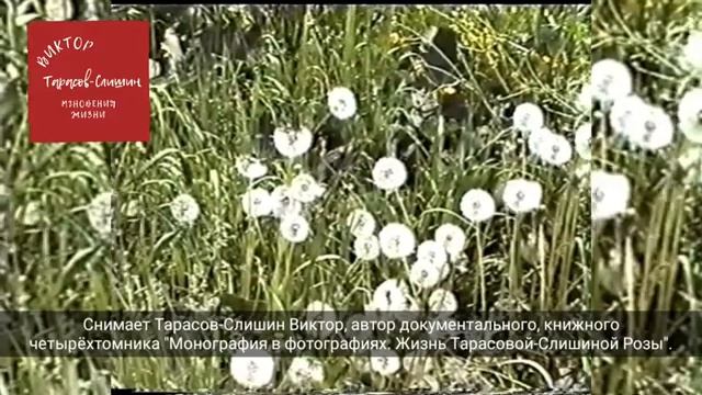 Видео 001. Мгновения жизни.mp4