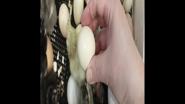 У меня вот что