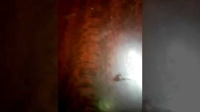 цыпа против добра