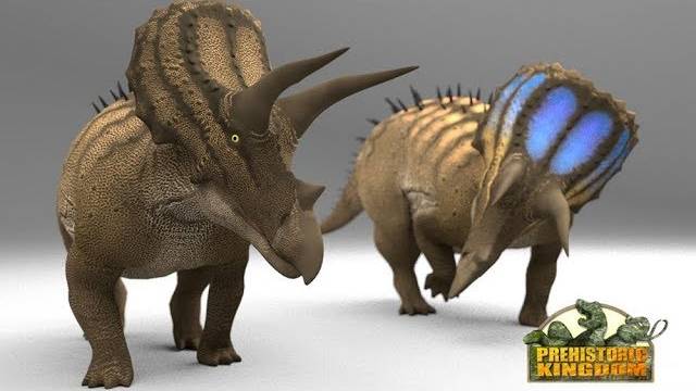 Prehistoric Kingdom_ Triceratops Exhibit Speed Build & Kickstarter (360p)