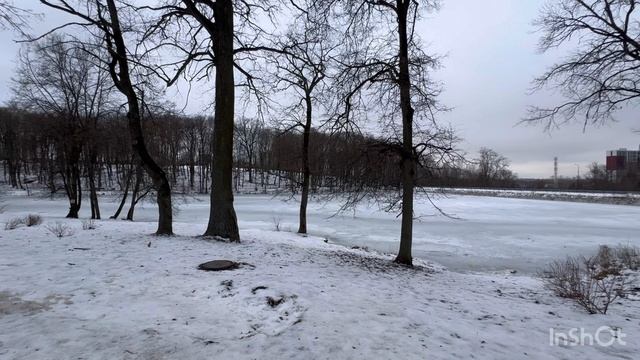 Физкульт привет 👋 Экзотические растения в нашем парке🍀Что можно успеть в обеденный перерыв ⛷️