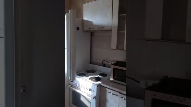 VID_20241228_101455_446.mp4