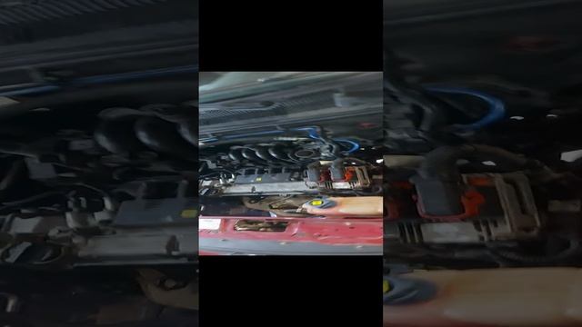 20241227_125628.mp4