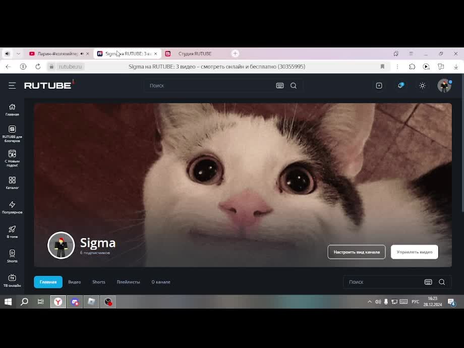 возрощение 2