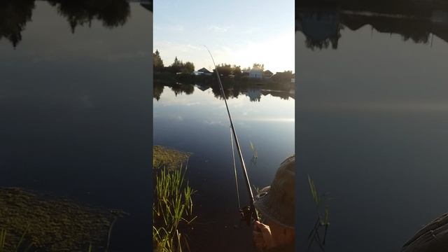 Рыбалка /озеро/4 утра.
