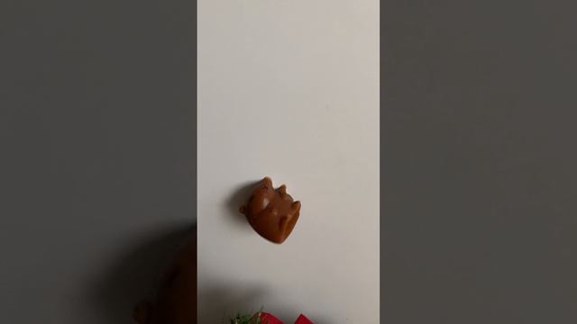 Капибар идёт на новогоднюю ёлку 🎄