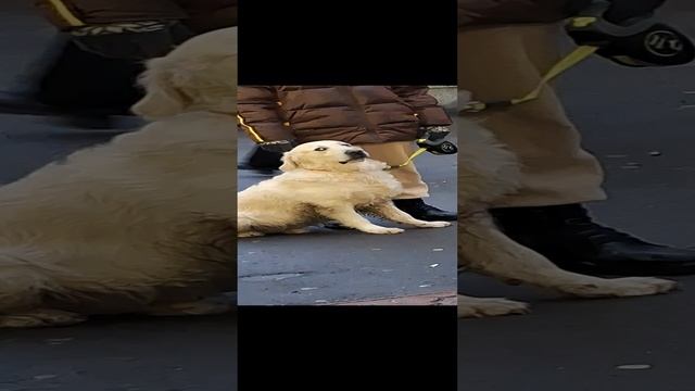 1000098645.mp4