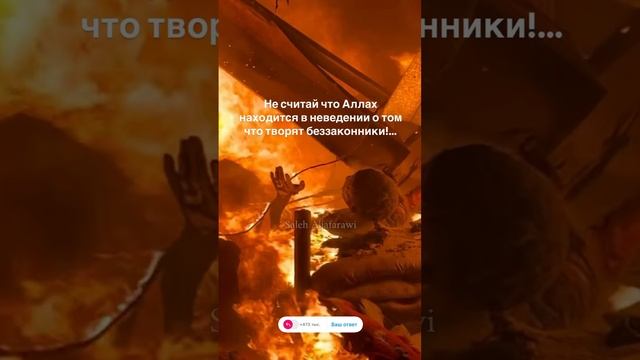 прекрасный коран