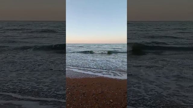 Видео WhatsApp 2024-12-28 в 17.18.47_ff18c4de