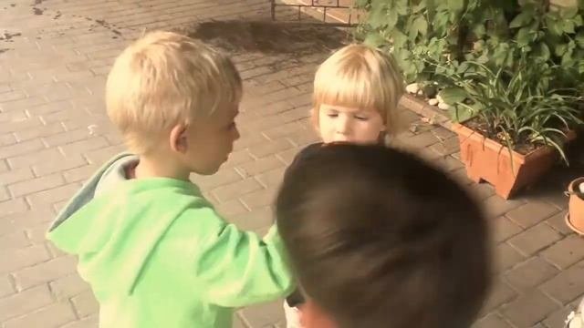 Жук носорог. Приключения Ванессы