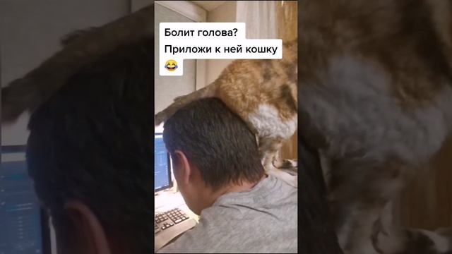 что делать, когда болит голова?