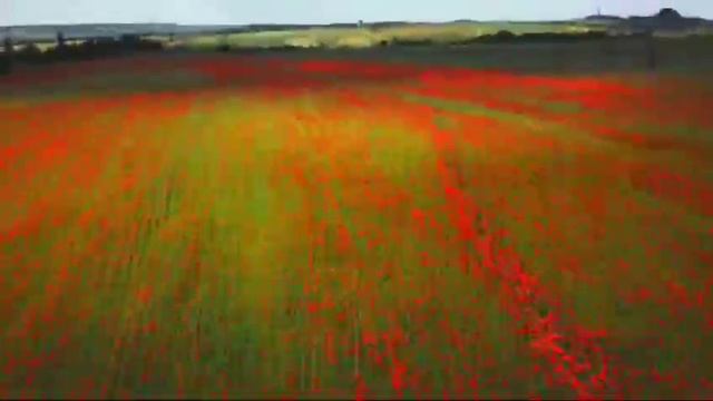Гавриленко - возвРАщайся, домой.