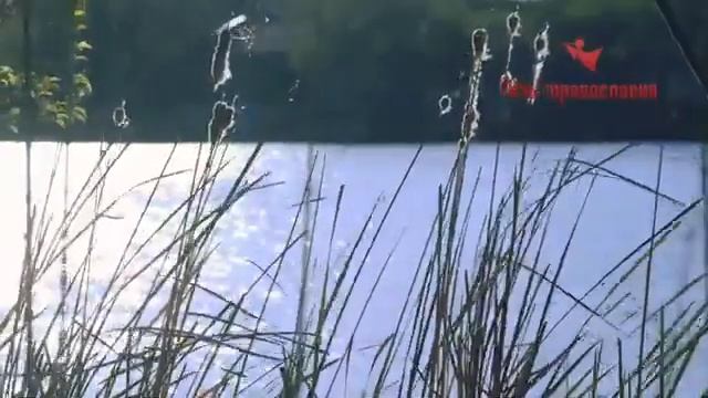 От Мыслей все Зло!   Фаддей Витовницкий Штрабулович
