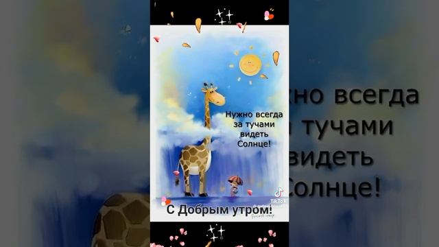 всё что по карману