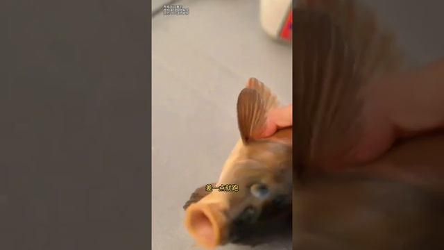 🐟🐟🐟Это просто супер рыбалка !!! 👍👍👍