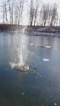 Залипалово)