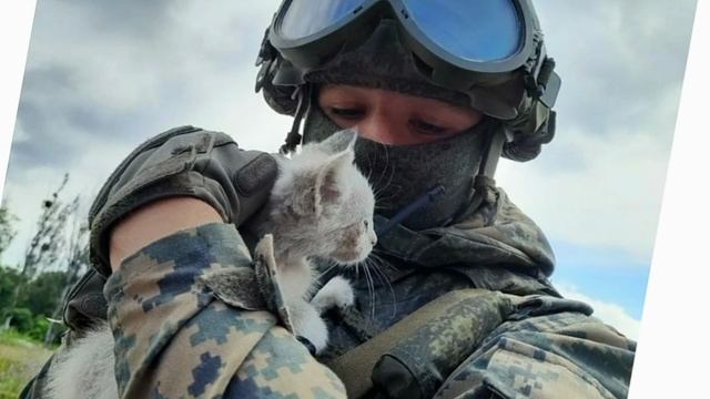 Песня СВО! Я погиб на войне!(стихи погибшего солдата)