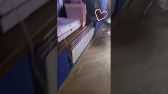 тату студия