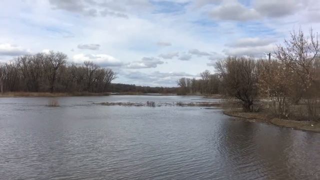 Река ХОПЁР ВОРОНЕЖСКАЯ ОБЛАСТЬ/ Разлив 08,04,2021 год.