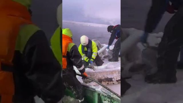 Морозец работа заполярным кругом