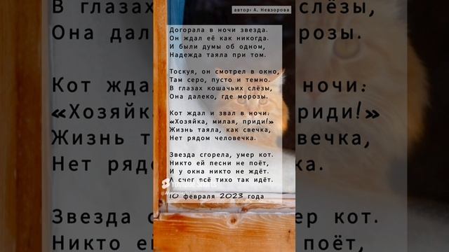 Догорая ждал #стихи