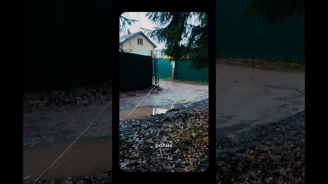 Вытянули сломанную осину #арбористика