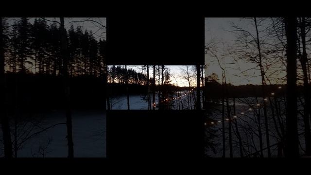 Зимнее утро. Карелия. Лес.