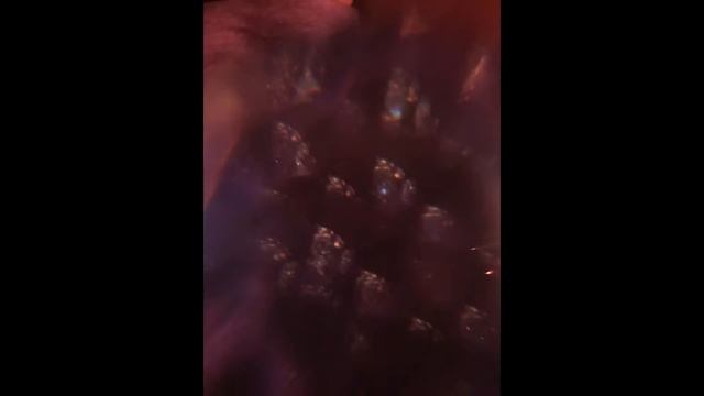 Dreaming in Bismuth- Part 2 of, 'Favorite Things', Series