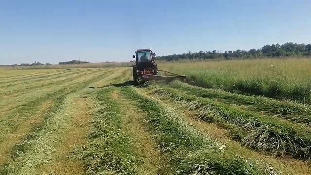 Володя в деле на сенокосе