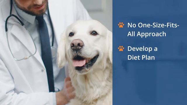 Pet Nutrition