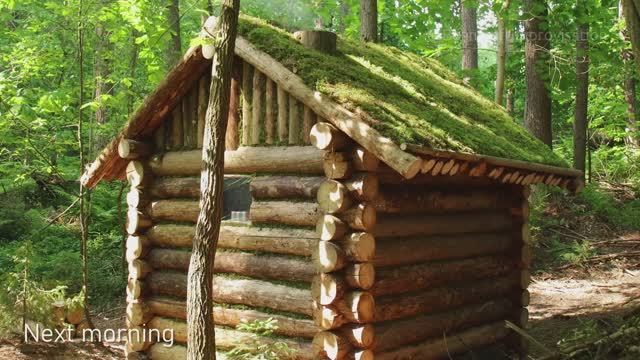 Строительство избы в лиственничном лесу