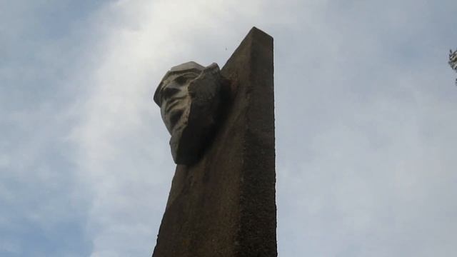 Пчеловодство.Как дела у пчёл живущих в бетоном памятнике.Bees living in a concrete monument.