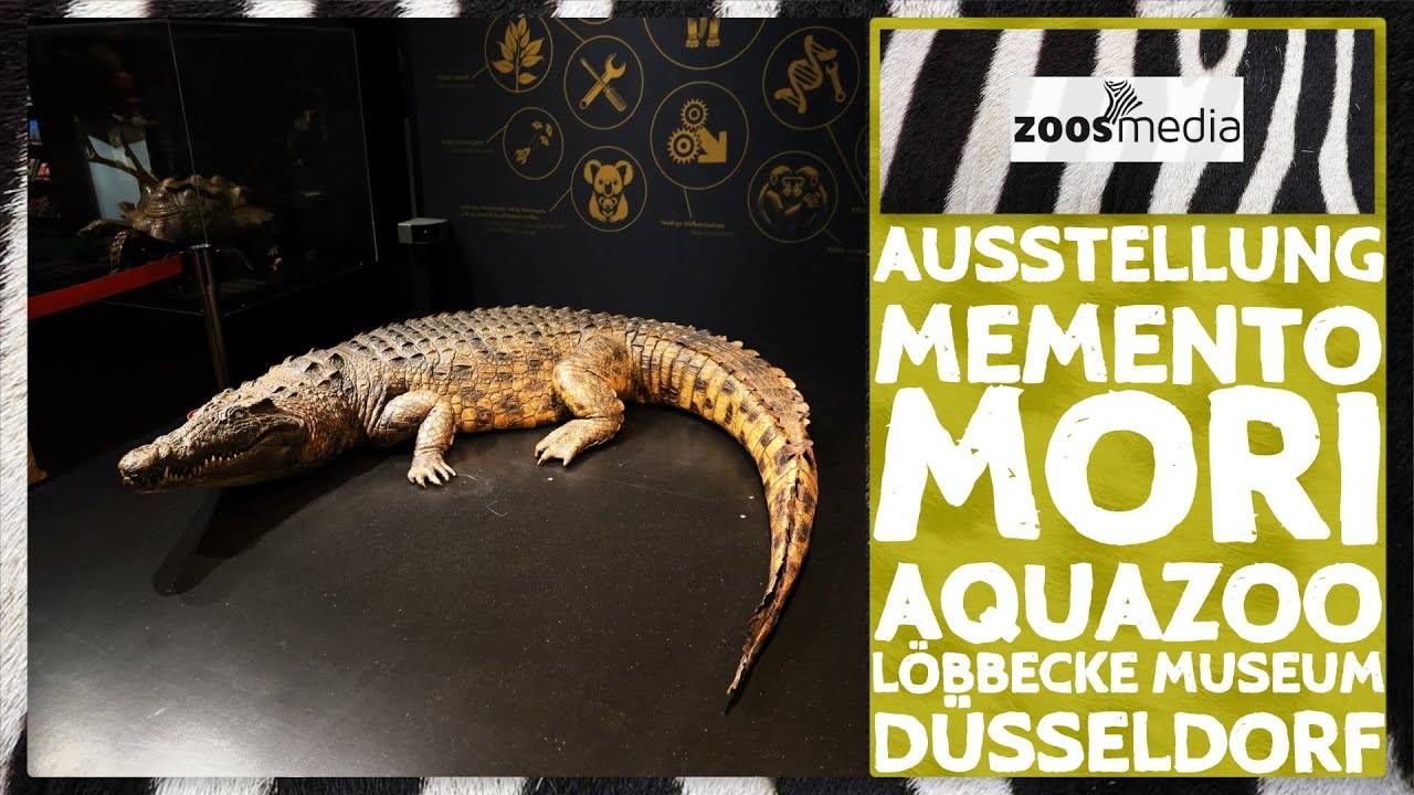 Aquazoo Düsseldorf_ Sonderausstellung MEMENTO MORI _ zoos.media (360p)