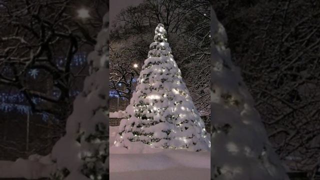 28-12-2024 Готовы к встрече?